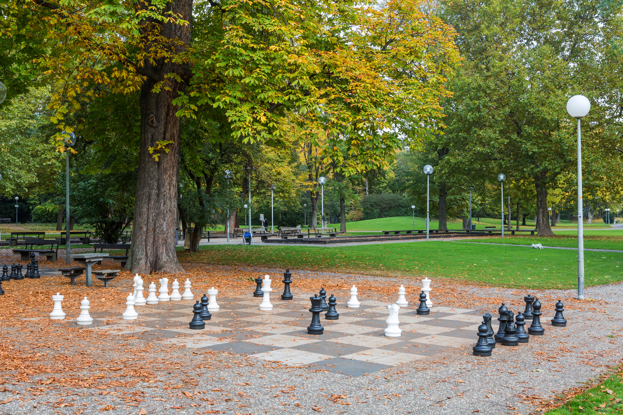 El ajedrez es esencialmente un juego que se practica ya sea en torneos profesionales en espacios cerrados o entre aficionados al aire libre (Getty Images)