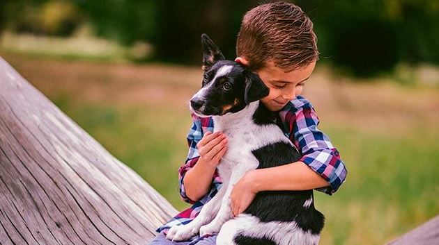 ¿quieres Regalarle Un Perro A Tu Hijo Conoce Las Razas Ideales Para Los Pequeños Del Hogar