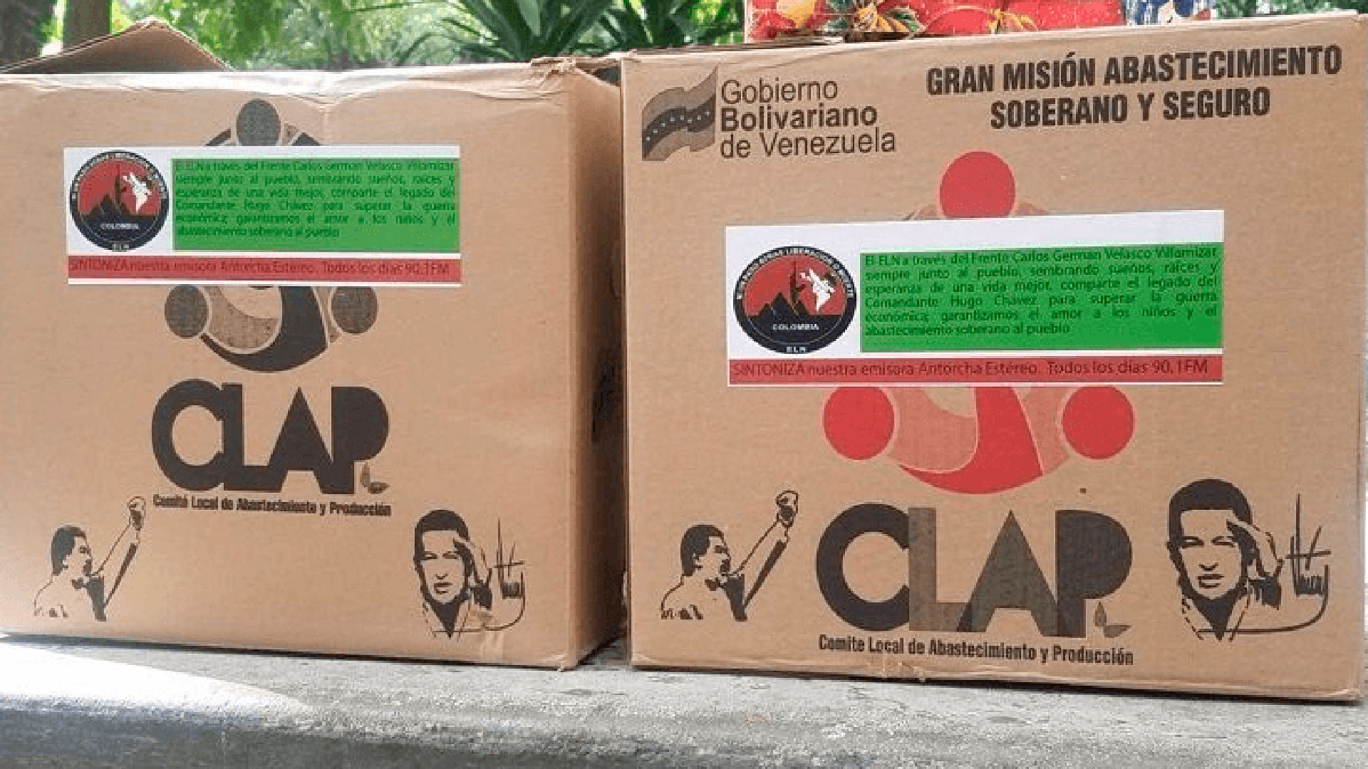 Cajas CLAP de alimentos que reparte el Gobierno de Maduro