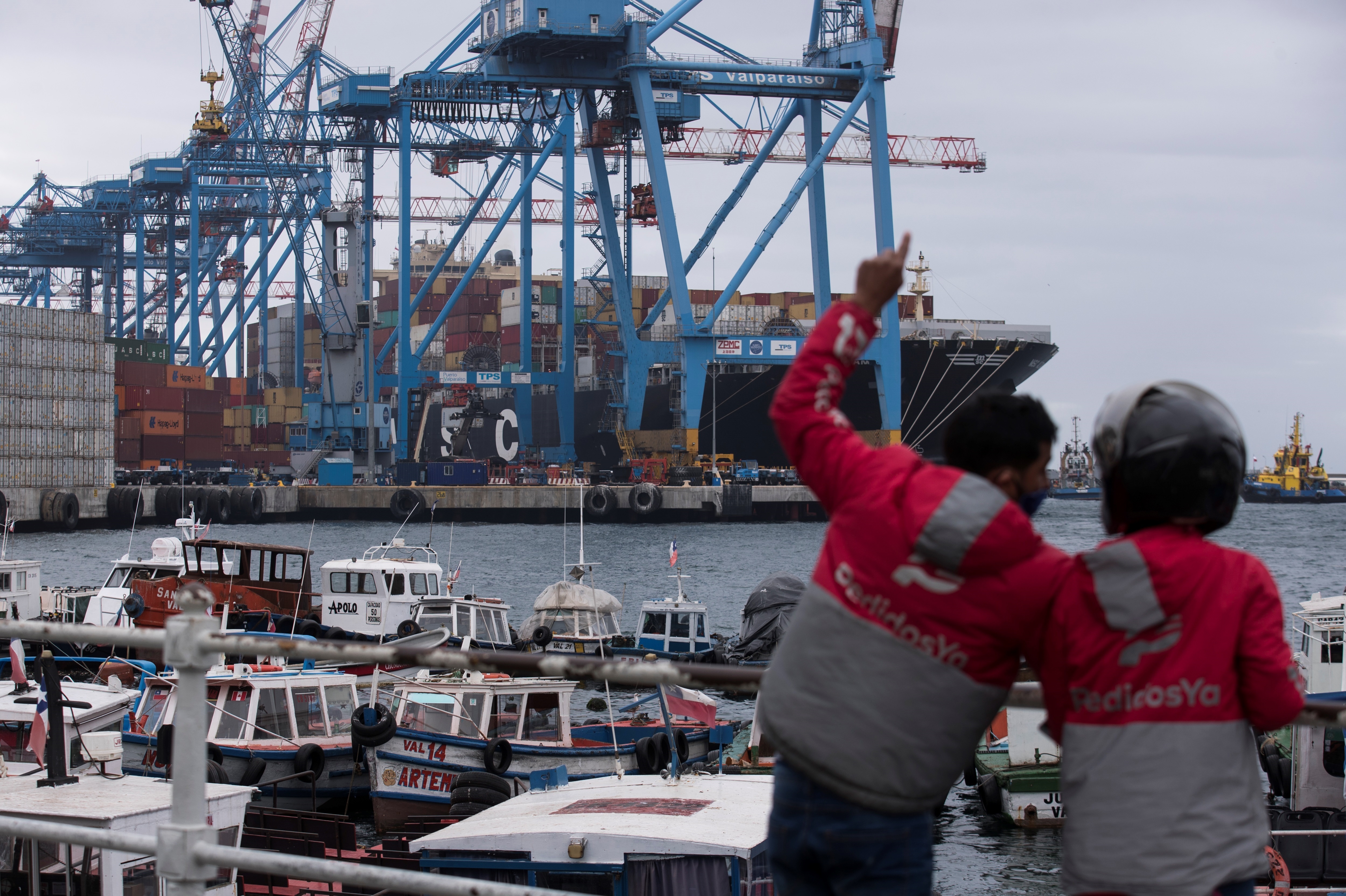 Las agrupaciones de exportadores de frutas de Chile defienden sus protocolos sanitarios y acusan los perjuicios de este tipo de informaciones