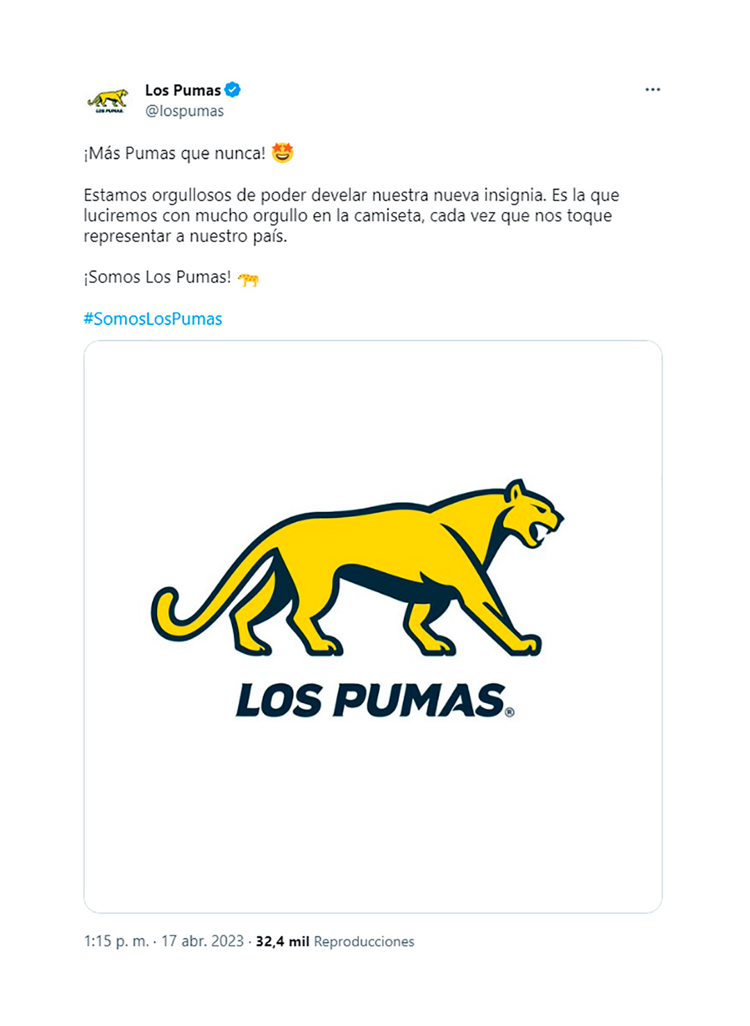 El nuevo logo que lucirán Los Pumas en su camiseta