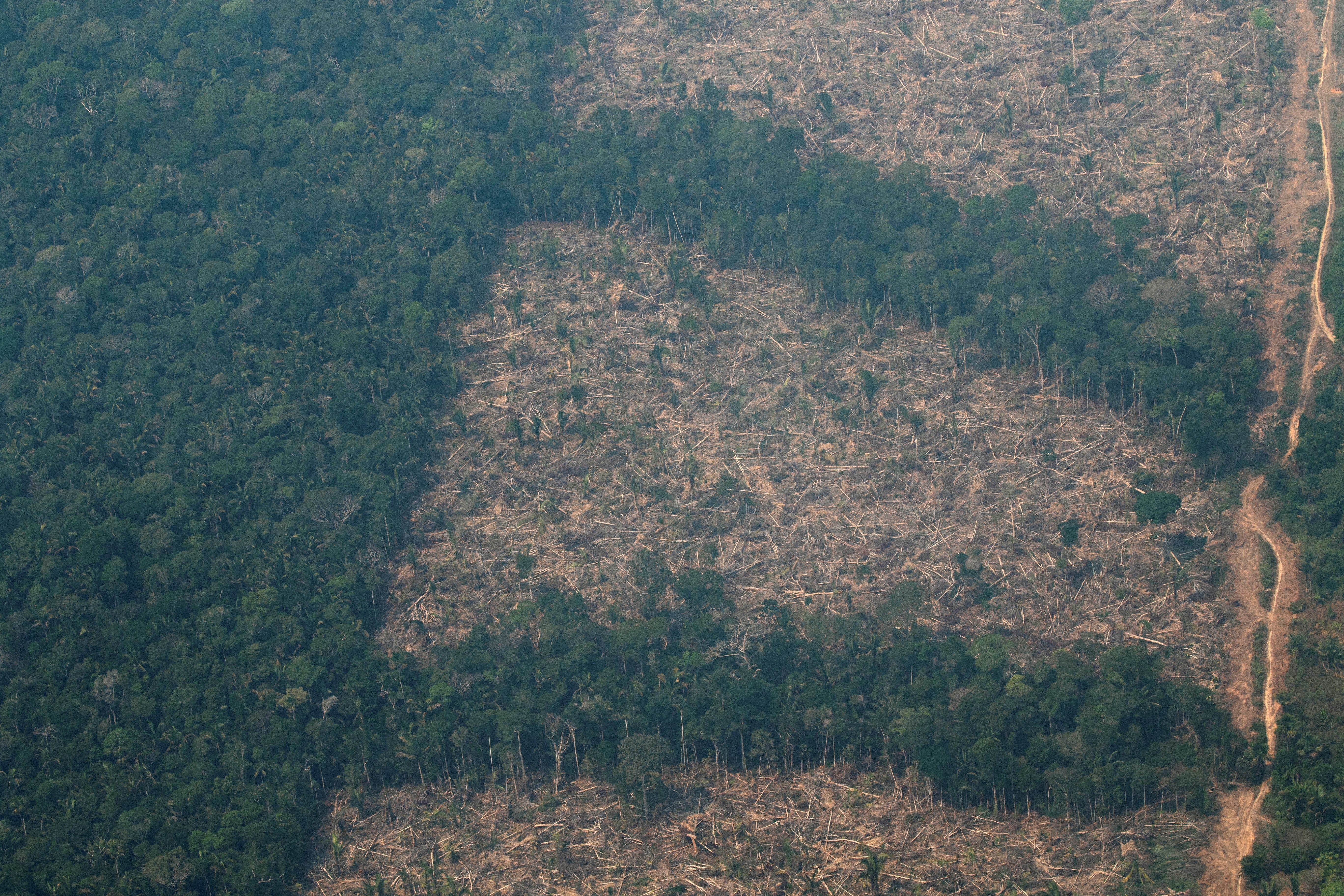 Vista de áreas deforestadas de la selva amazónica de Porto Velho, Rondonia (EFE/Joédson Alves)
