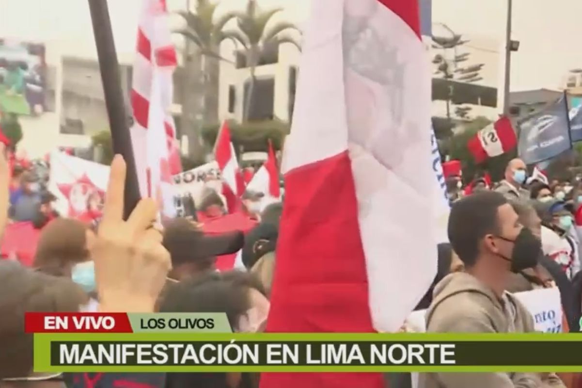 Banderas del Apra y de la agrupación política Avanza País se pudieron ver en la manifestación. | Imagen: Canal N