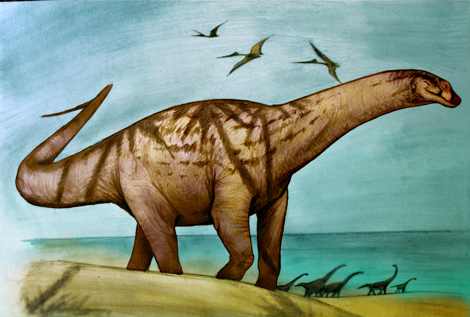 Una reconstrucción de Sebastián Rozadilla sobre la especie de dinosaurio hervíboro, que llamaron Menucocelsior arriagadai. Fue identificada en Río Negro, donde habitó hace 70 millones de años (S. Rozadilla)