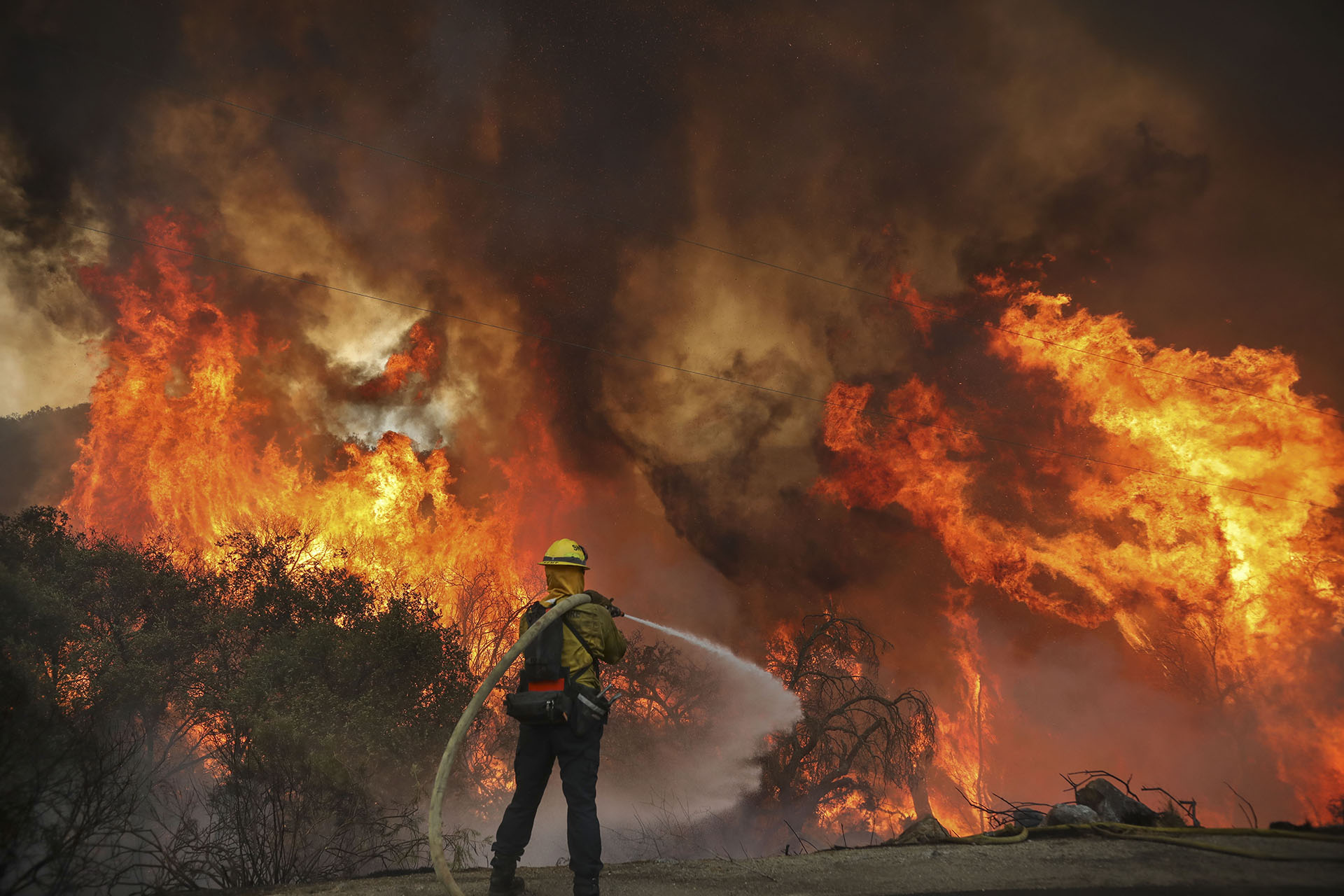 Más de 14.100 bomberos estaban luchando contra 24 incendios forestales diferentes hasta el lunes por la tarde, dijo Cal Fire en un tuit (SANDY HUFFAKER / AFP)