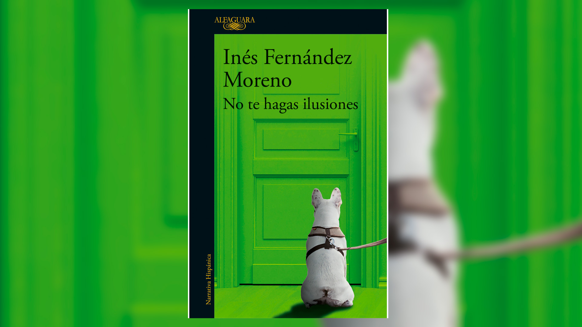 Portada de "No te hagas ilusiones", de Inés Fernández Moreno, editado por Alfaguara. 