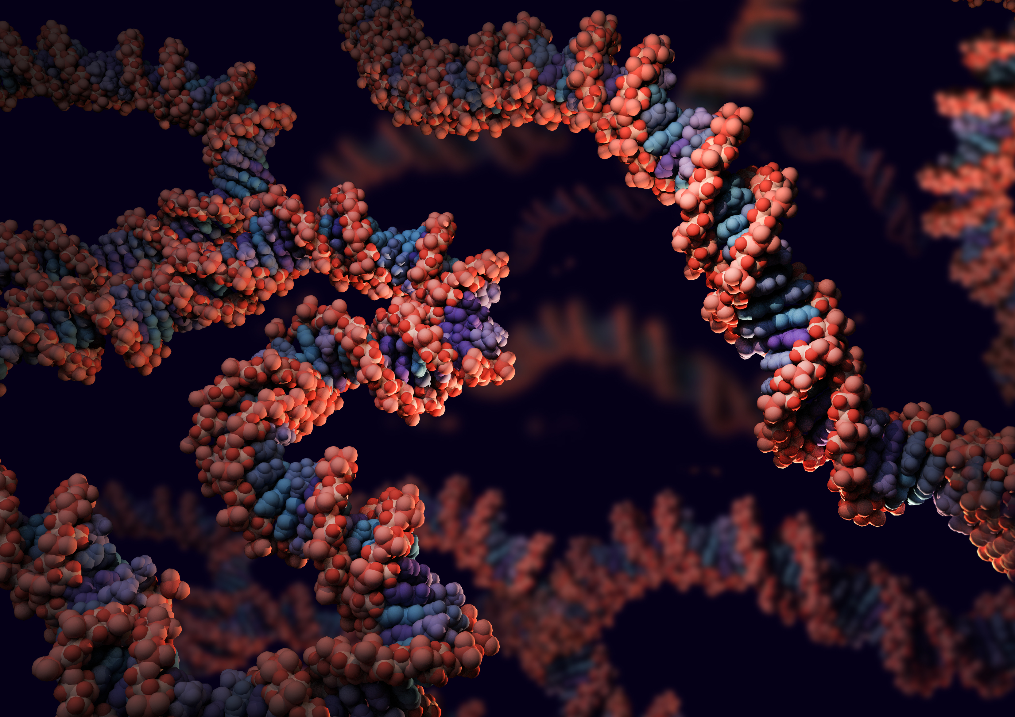 Se han descubierto variaciones en el genoma que aumentan el riesgo de esclerosis múltiple. Pero no son los únicos factores que conducen al desarrollo de la enfermedad/ Kate Patterson