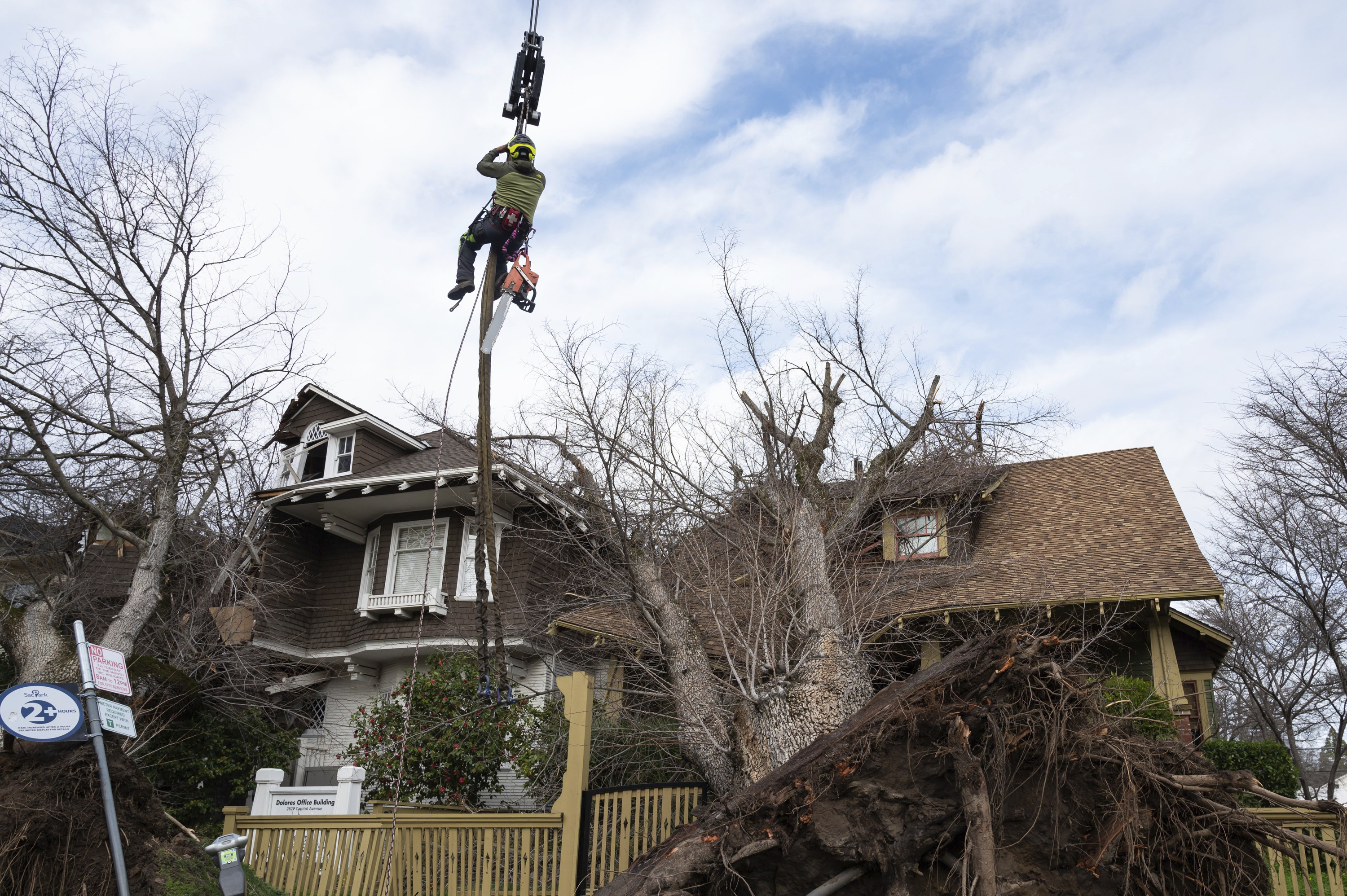 Cientos de árboles cayeron en Sacramento debido a los fuertes vientos. (Sara Nevis/The Sacramento Bee via AP)