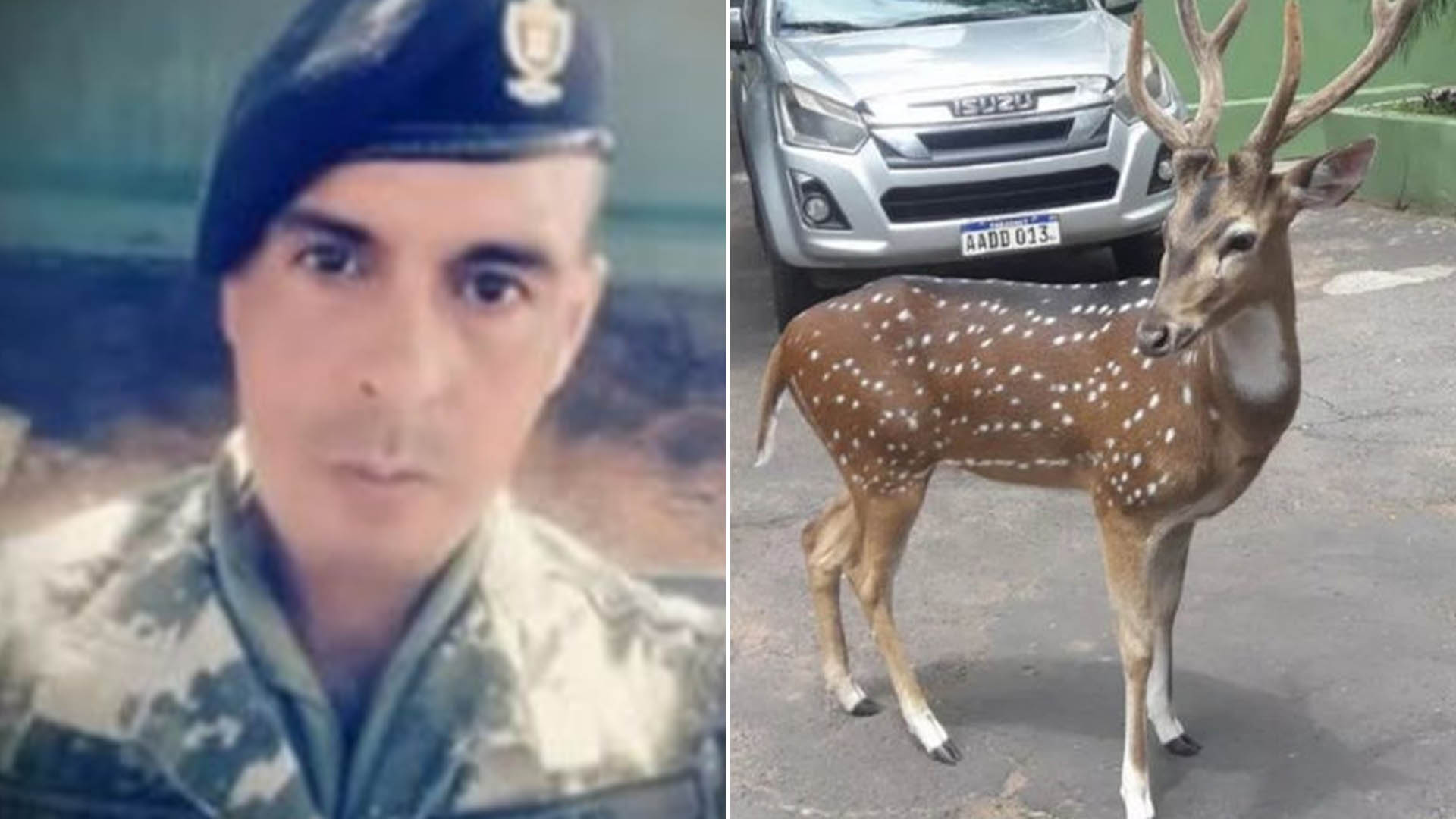 Víctor Isasi Flecha murió tras ser atacado por un ciervo que le produjo una herida en la zona de los pulmones