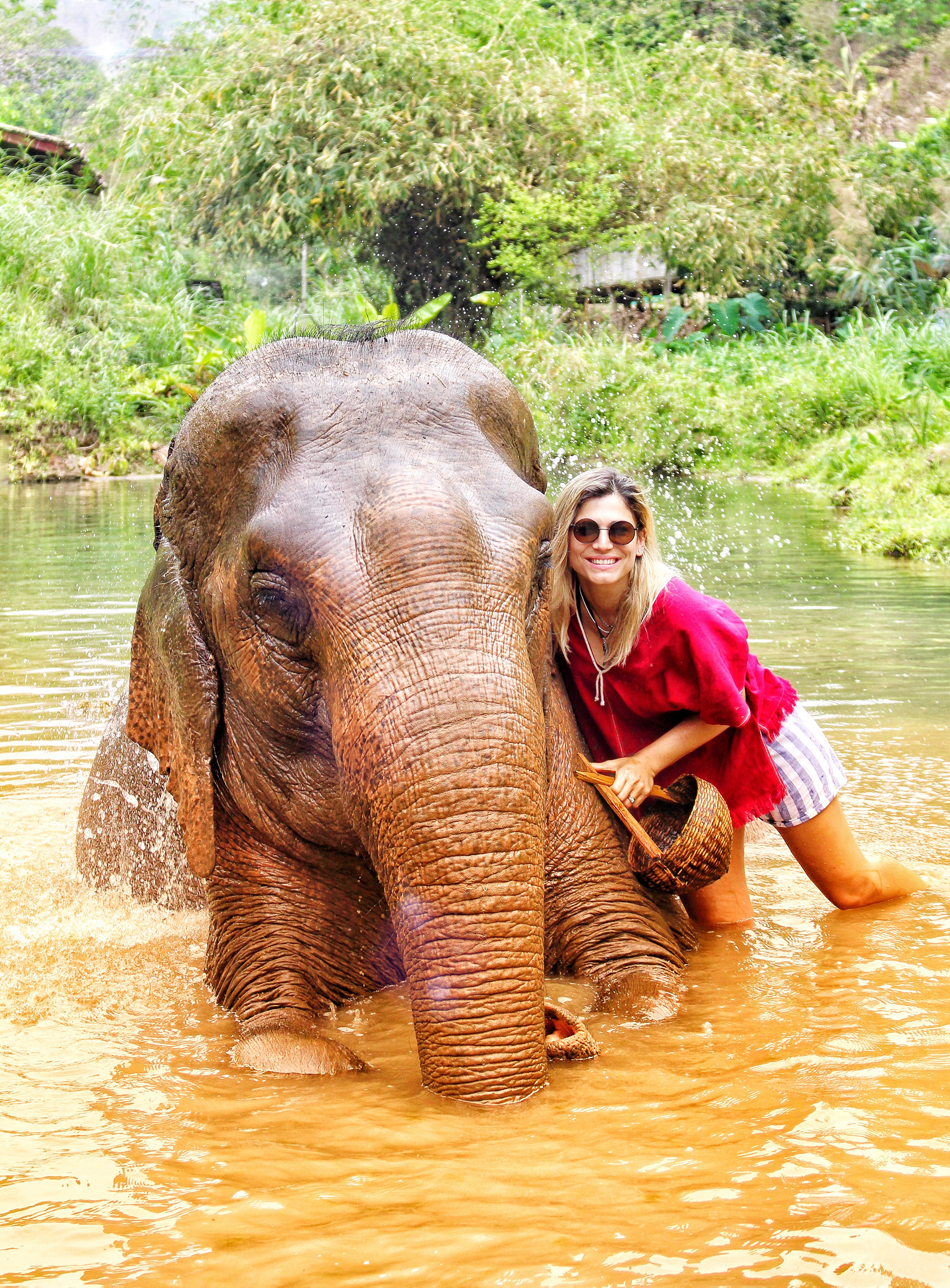 Santuario de elefantes en Tailandia