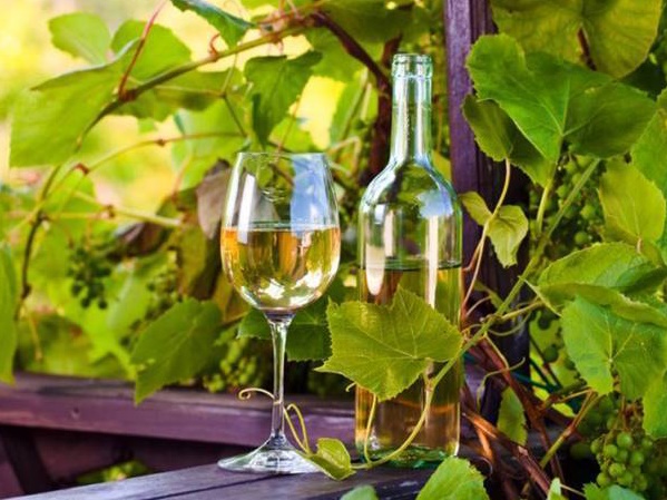 El vino blanco es uno de los más prestigiosos en el mundo

