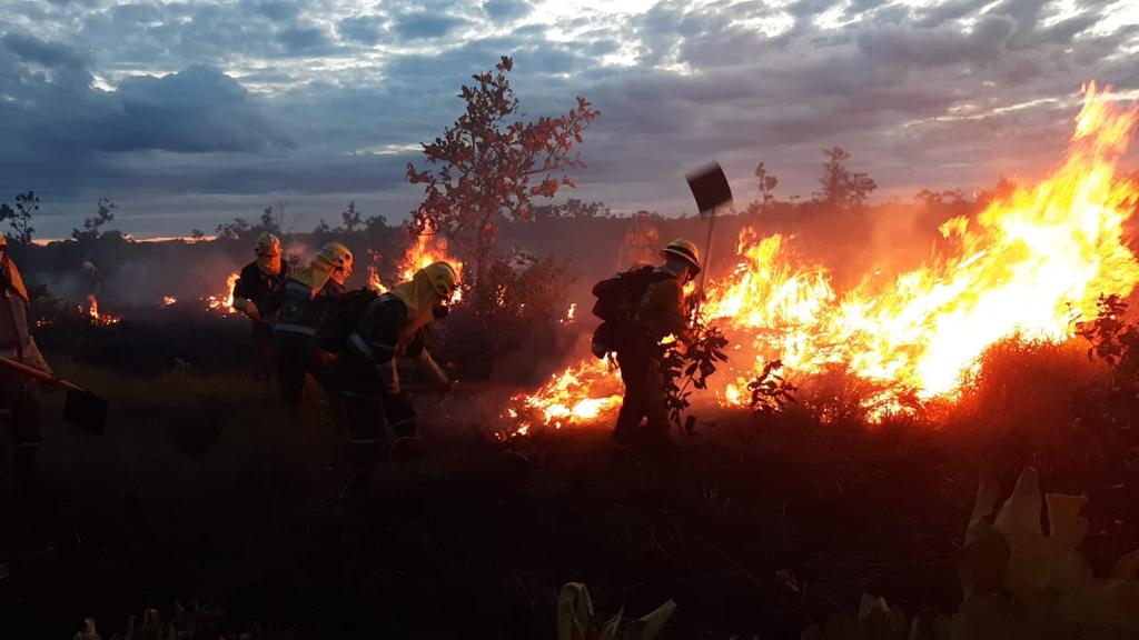 Incendio forestal en el parque natural El Tuparro en Vichada.