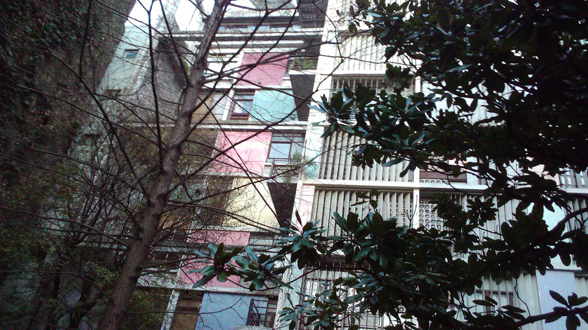 Vista desde el exterior y la frondosa vegetación que actúa como barrera acústica (Fotos Gentileza: Bresson Realty Buenos Aires)