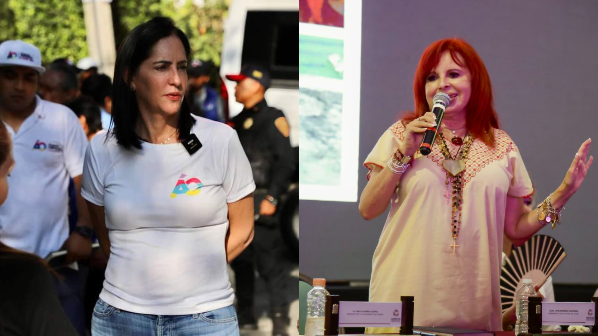 Lía Limón presentó siete denuncias contra Layda Sansores (Facebook Lía Limón García/Twitter @Layda Sansores)