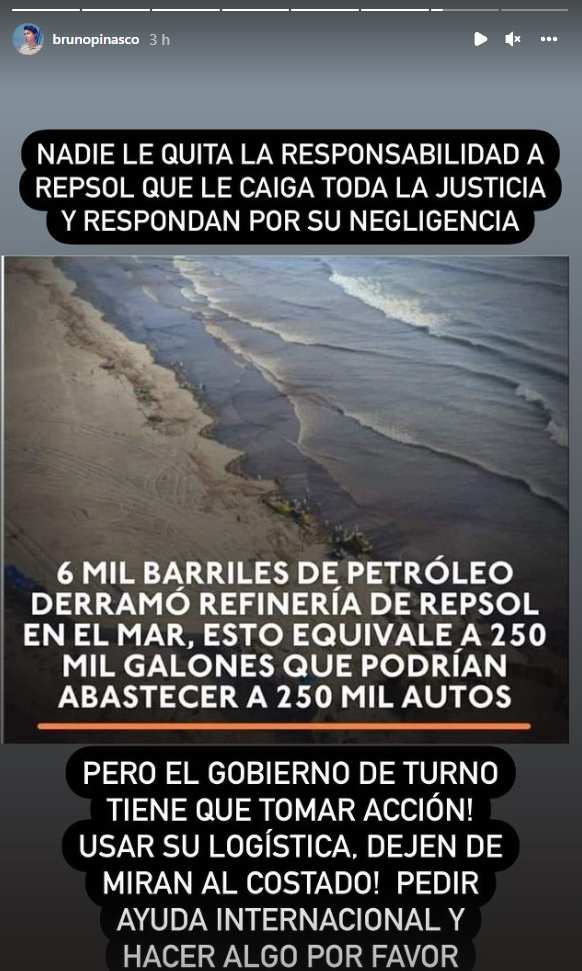 Bruno Pinasco pide a Repsol hacerse responsable del derrame de petróleo al mar. (Foto: Instagram)