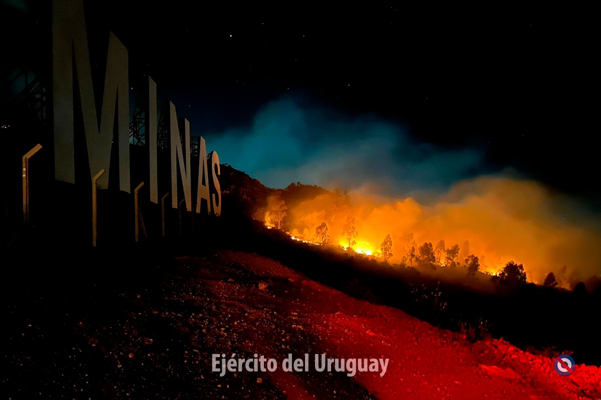 Tras la reforma laboral, La Libertad Avanza podría avanzar con cambios en la legislación del trabajo rural