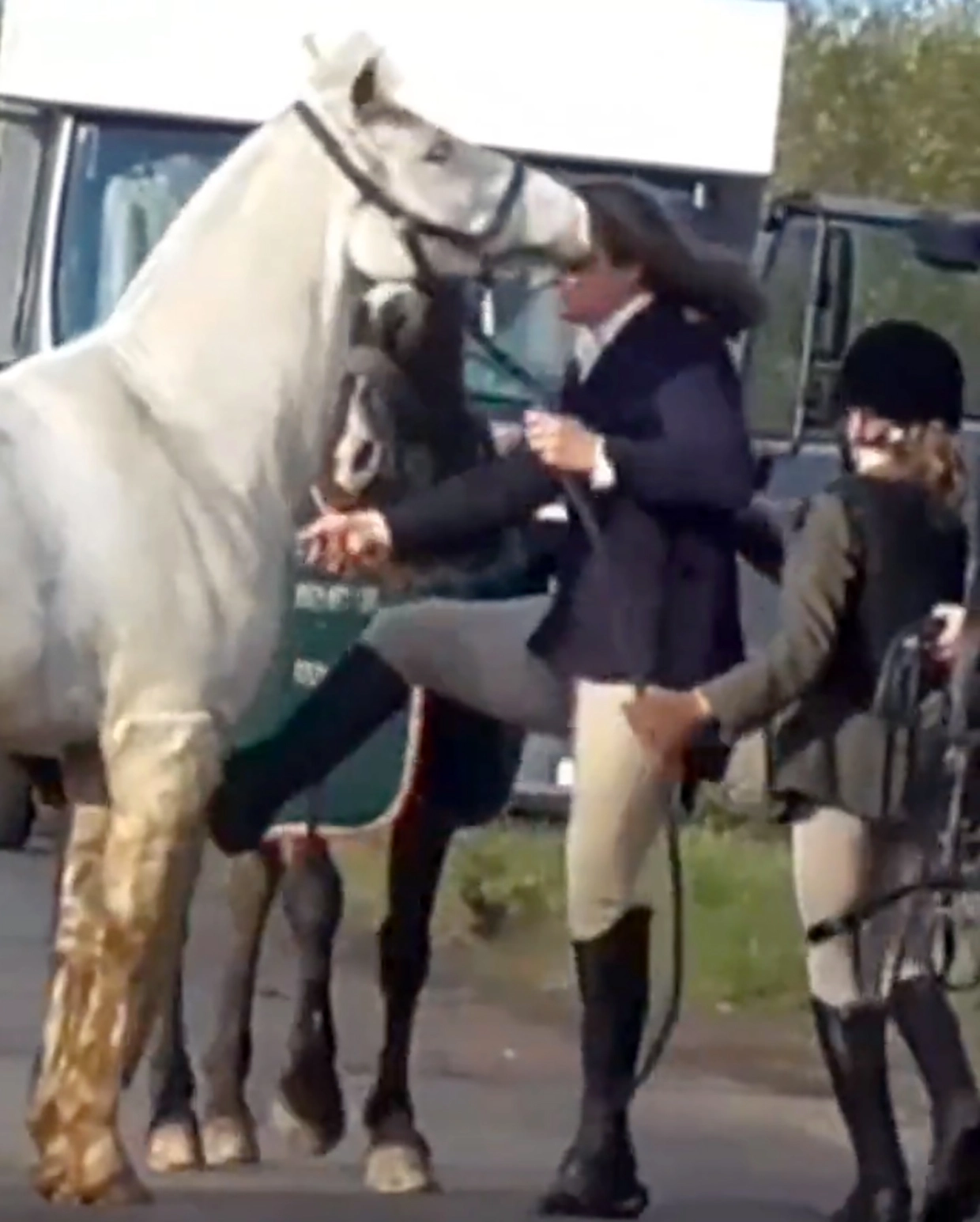 Una profesora de primaria fue expulsada de su trabajo después de ser  filmada golpeando y pateando un caballo - Infobae