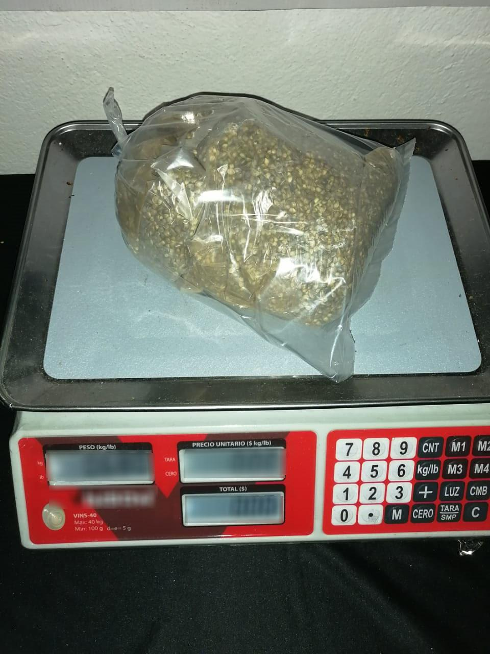 Dentro de su motor eléctrico se escondió el bulto con cinta transparente y las semillas de la planta de cannabis (Foto: Guardia Nacional)