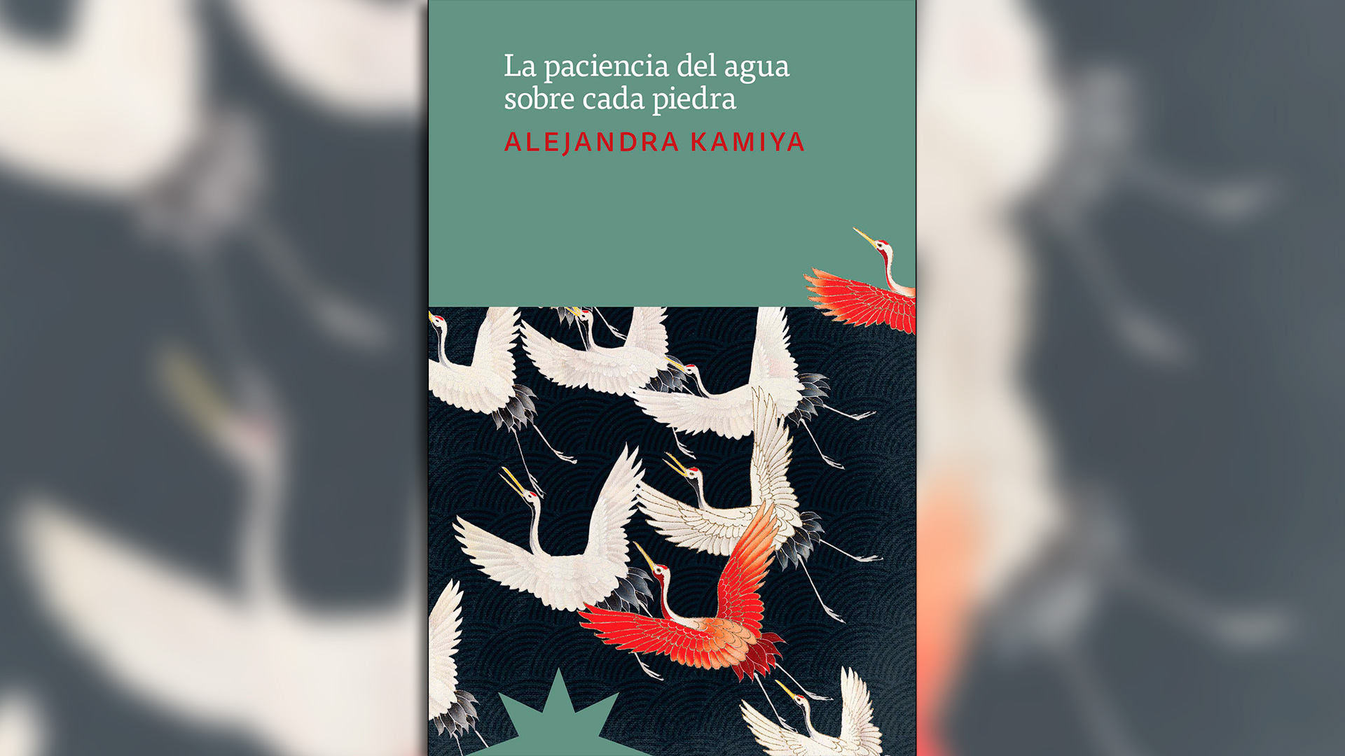 "La paciencia del agua sobre cada piedra" de Alejandra Kamiya fue uno de los libros más vendidos del stand de Los 7 logos. 