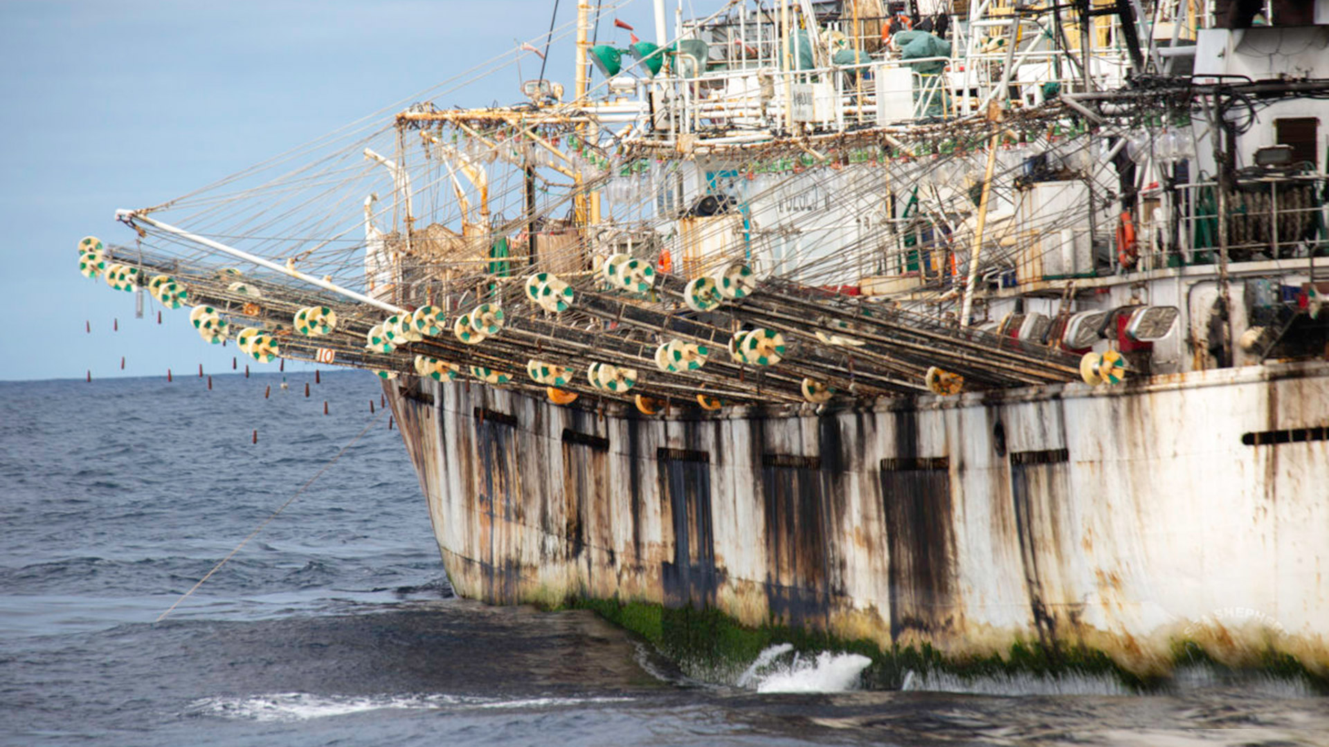 La flota pesquera china puede ser observada a través del sistema de monitoreo de Global Fishing Watch