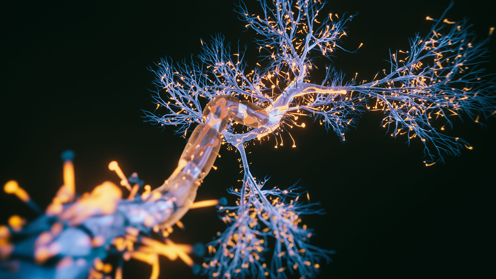 La Esclerosis Lateral Amiotrófica (ELA) es una enfermedad del sistema nervioso, que debilita los músculos en forma progresiva (Getty Images)