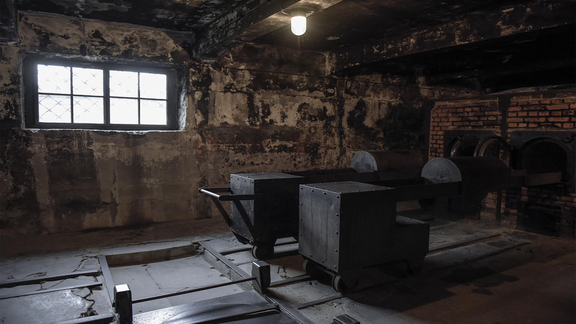 Obispo niega registros históricos sobre el uso de cámaras de gas durante el  Holocausto | Factual, image size:1920x1080