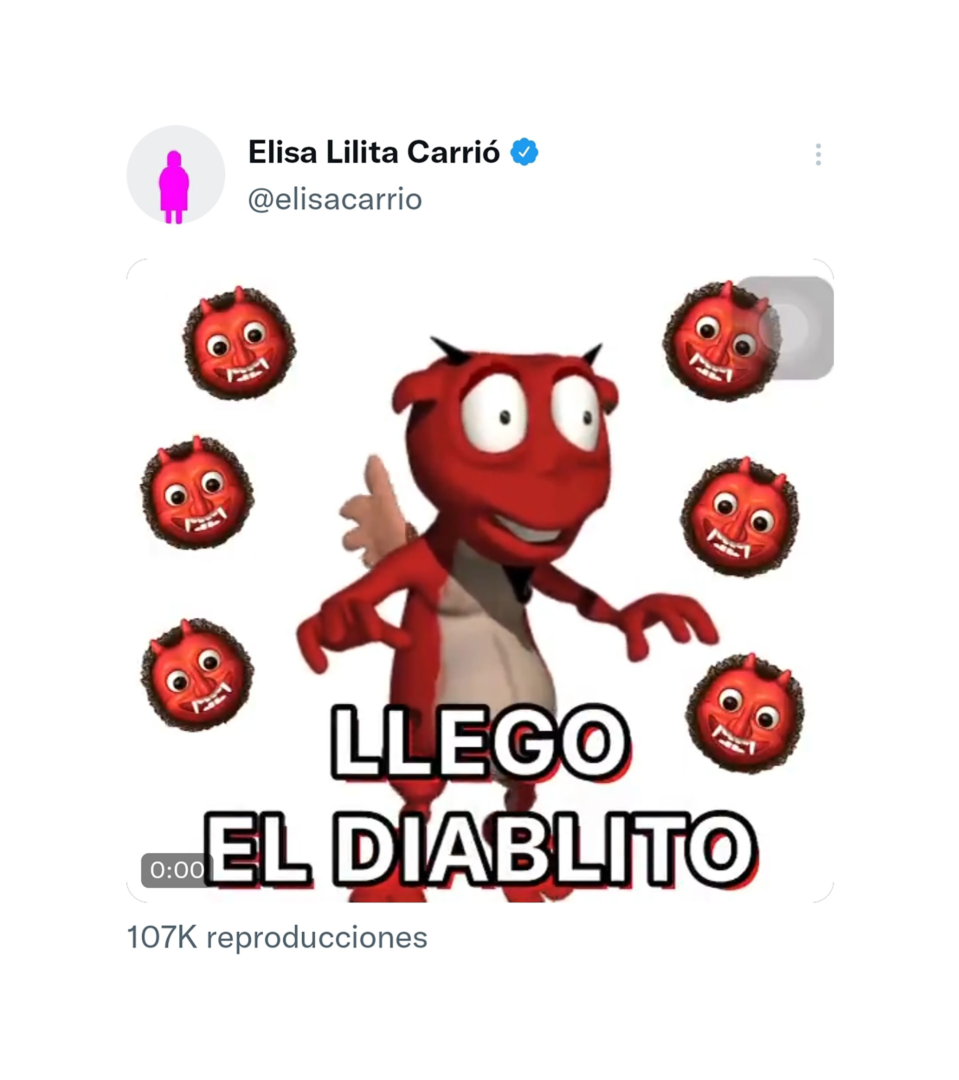 Elisa Carrió publicó un polémico tuit sobre Sergio Massa