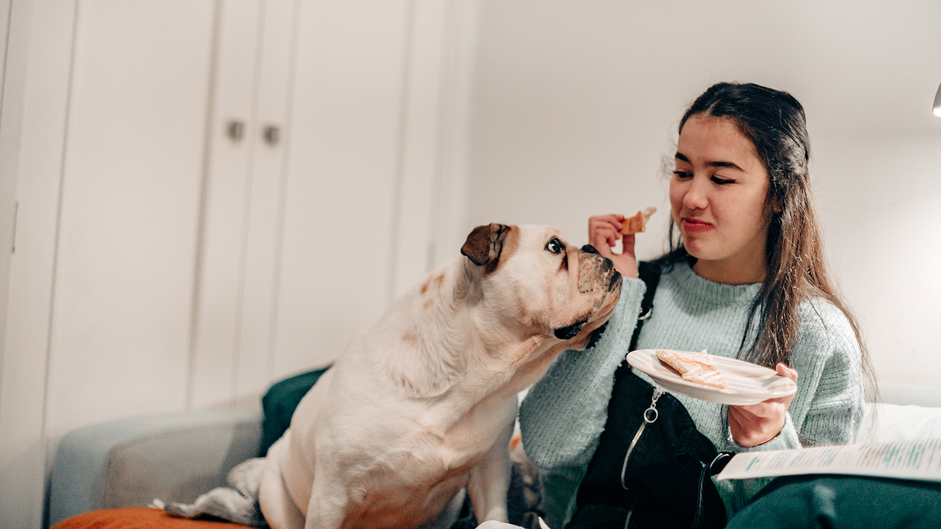 El perro es un carnívoro que puede tener las posibilidades de comer muchas cosas, pero tiene alimentos que vos tenés que evitar  (Getty Images)
