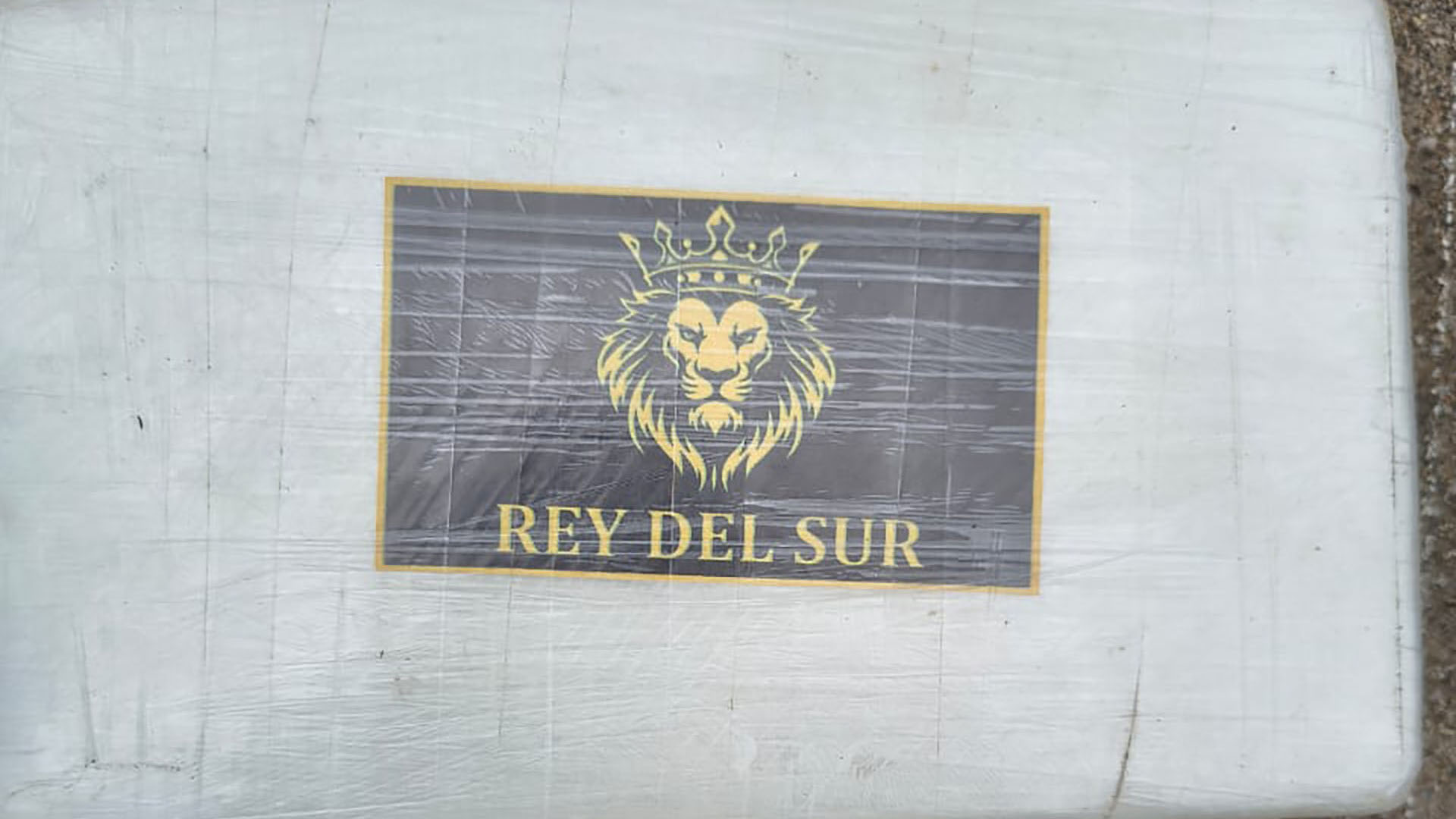 Una luchadora mostró cómo le quedó el brazo tras sufrir múltiples mordeduras de su rival durante el combate: “Dejaré que las marcas hablen”