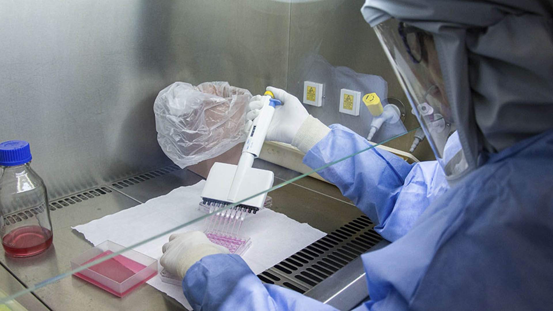 El CovidSeq permite confirmar la presencia del virus y realizar estudios genómicos sobre 3.000 muestras a la vez, en 24 horas (Télam).