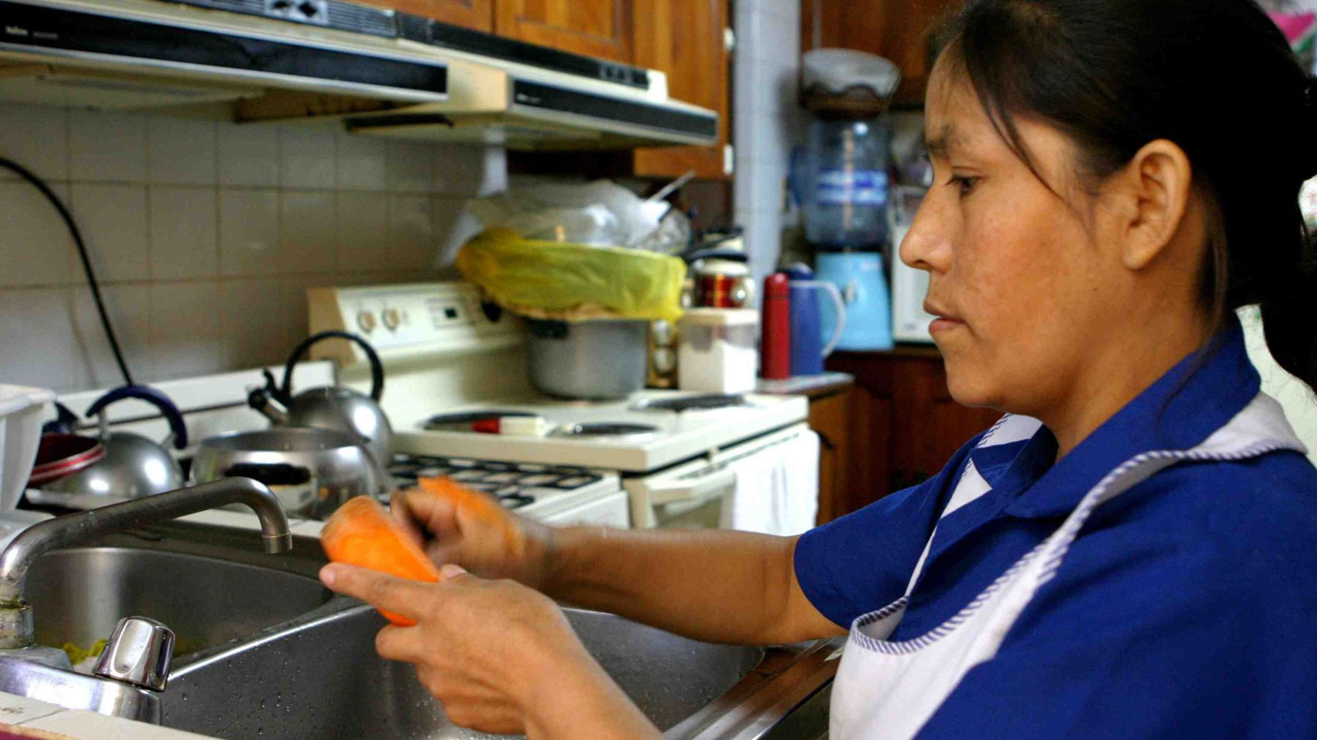 Se considera "trabajador de casas particulares" a quienes realizan tareas de limpieza, mantenimiento, cuidado de personas o asistencia personal.