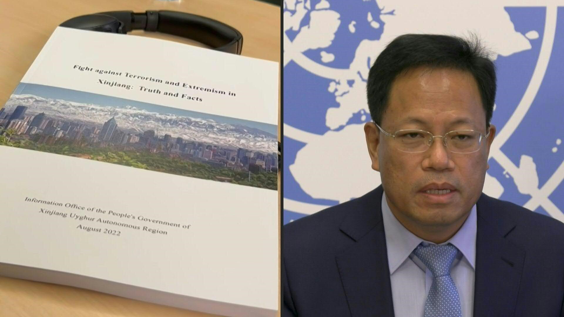 China envió a varios responsables de Xinjiang a Ginebra para entrevistarse con un responsable de la ONU y argumentar ante los medios su "verdad" sobre lo que ocurre en esa provincia, donde el gobierno chino es acusado de crímenes contra la humanidad (AFP)