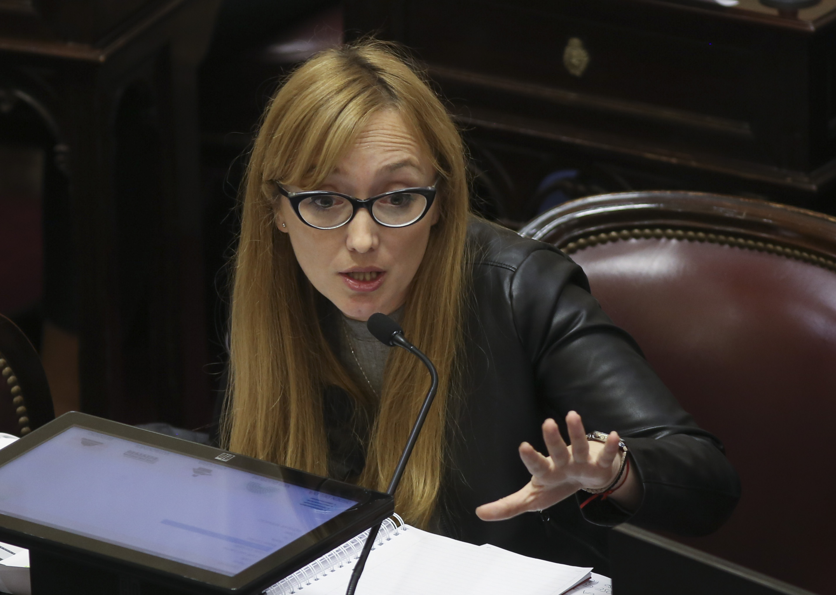 Anabel Fernández Sagasti, la primera candidata a senadora por el Frente de Todos en Mendoza (NA/DAMIAN DOPACIO)