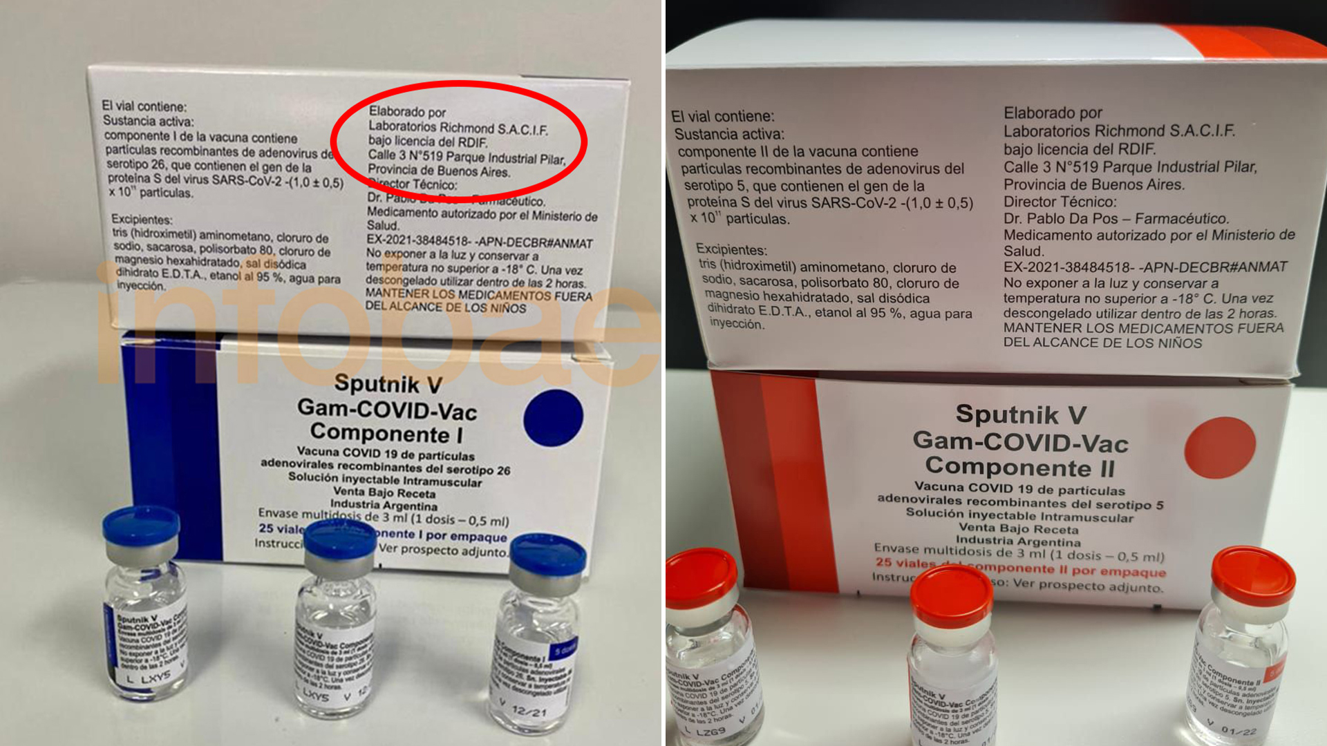 Sputnik V hecha en Argentina: el laboratorio Richmond hoy alcanzará los 4,7 millones de vacunas entregadas para acelerar los esquemas de vacunación