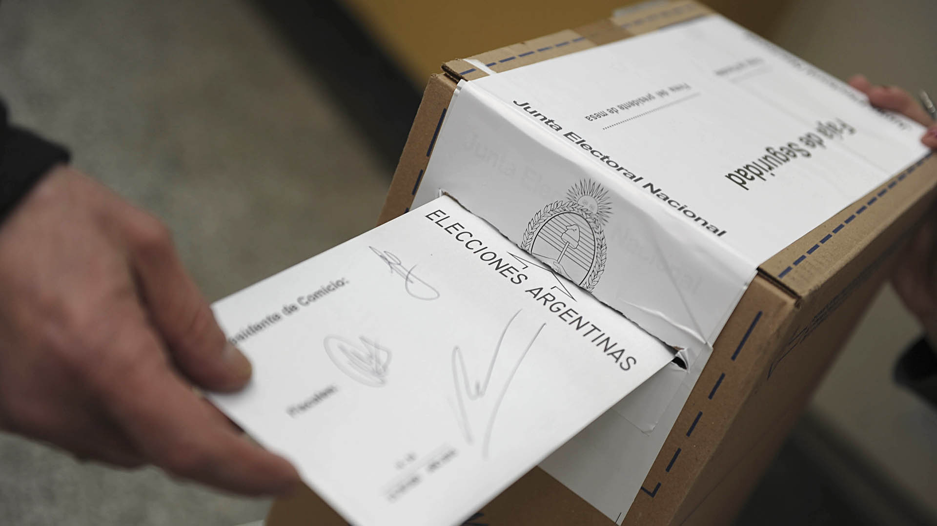 La Justicia aprobó la actualización del cronograma electoral (Télam)