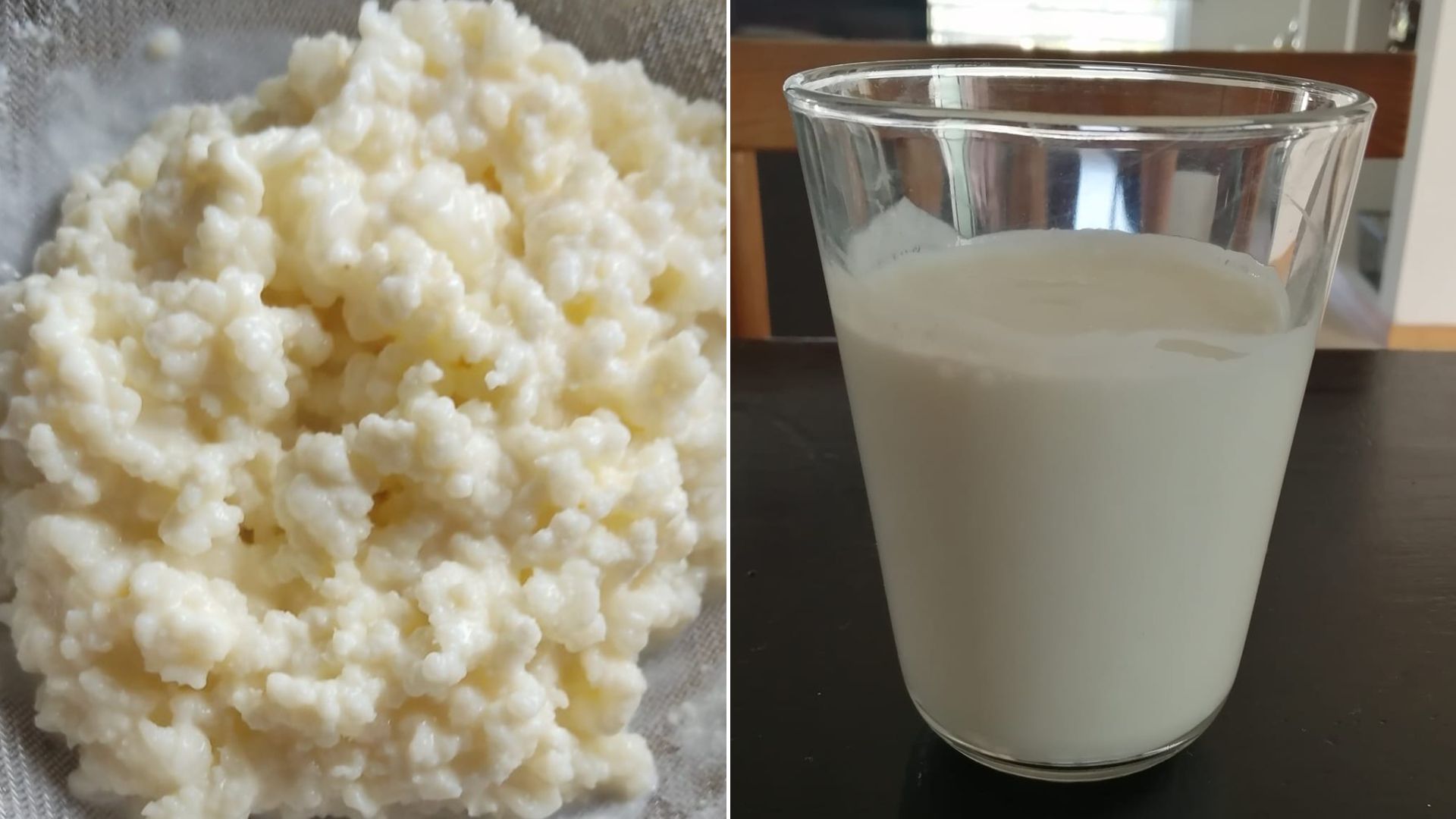 Cómo saber si los búlgaros de leche ya se echaron a perder? Estas son 5  señales clave - Infobae