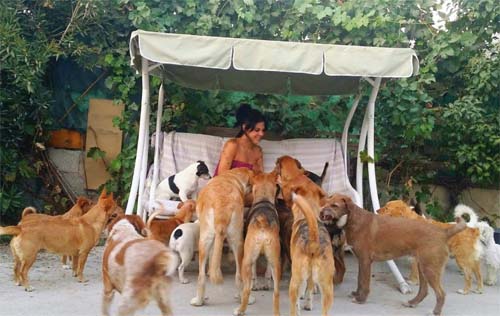 Pepa Tenorio es una mujer de 37 desempleada que vive en una casa de campo con sus padres y 20 perros (FOTO: EL OBSERVADOR)