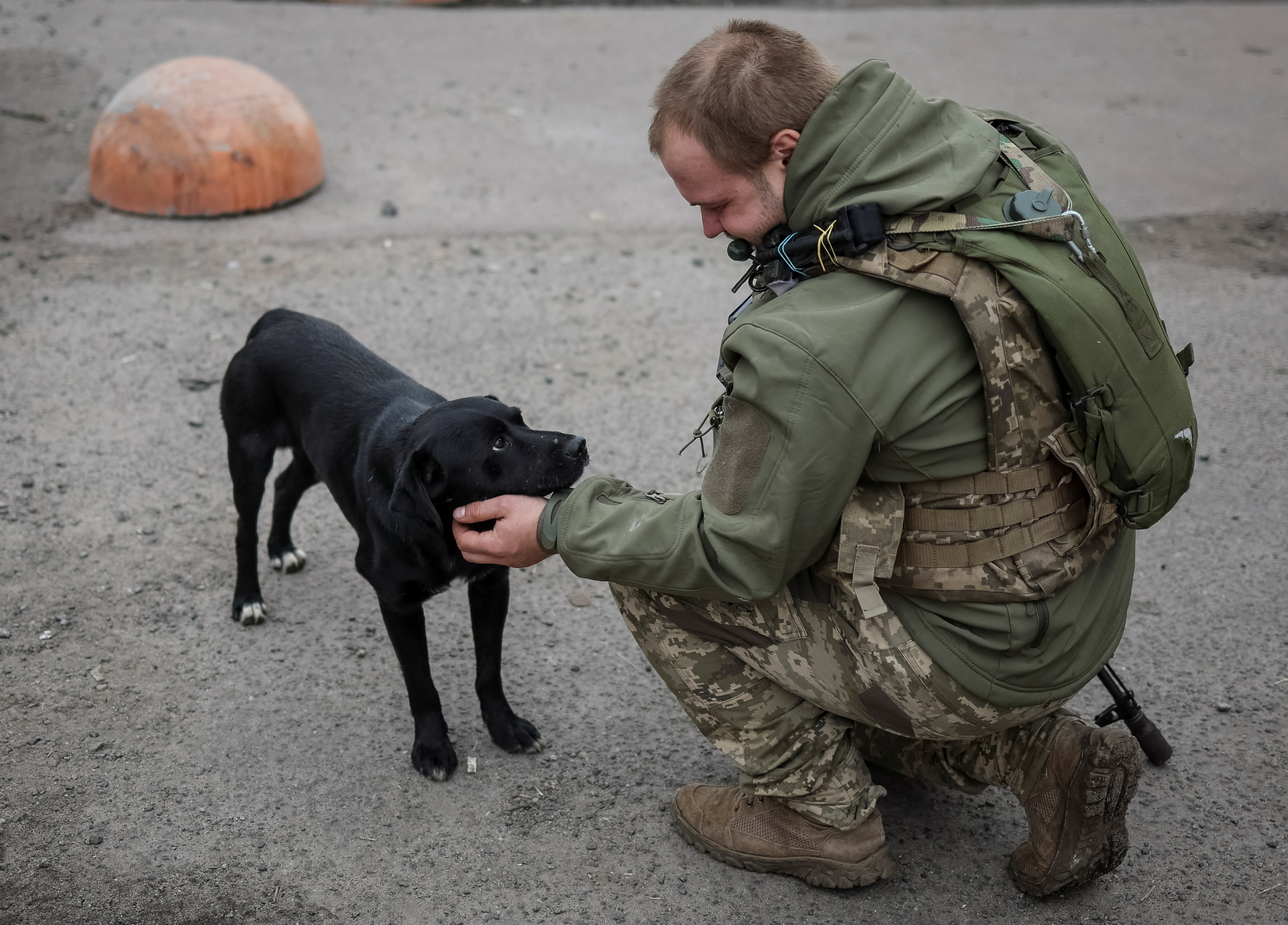 Un militar ucraniano acaricia a un perro después de regresar de la aldea de Udy, recientemente liberada por las Fuerzas Armadas de Ucrania (REUTERS/Gleb Garanich)