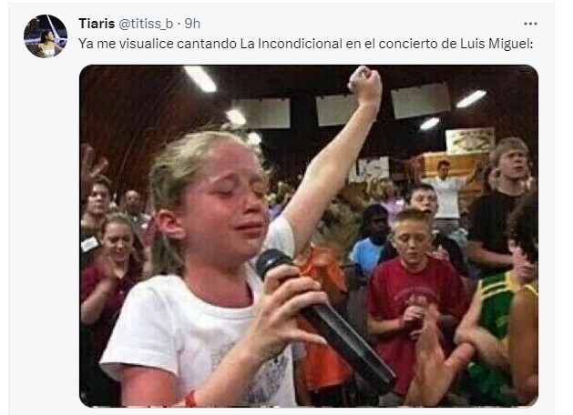 Los Mejores Memes Reaccionando Al Tour 2023 De Luis Miguel Infobae 6858