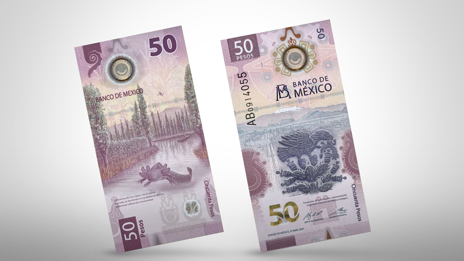 2021年に50ペソの紙幣が最優秀デザイン賞を受賞 - Infobae
