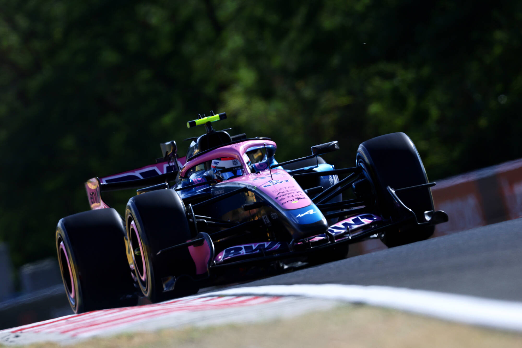 Radiograf&iacute;a de la carrera de Colapinto en el GP de Hungr&iacute;a de F1: poco ritmo con un Alpine lejos de los puntos