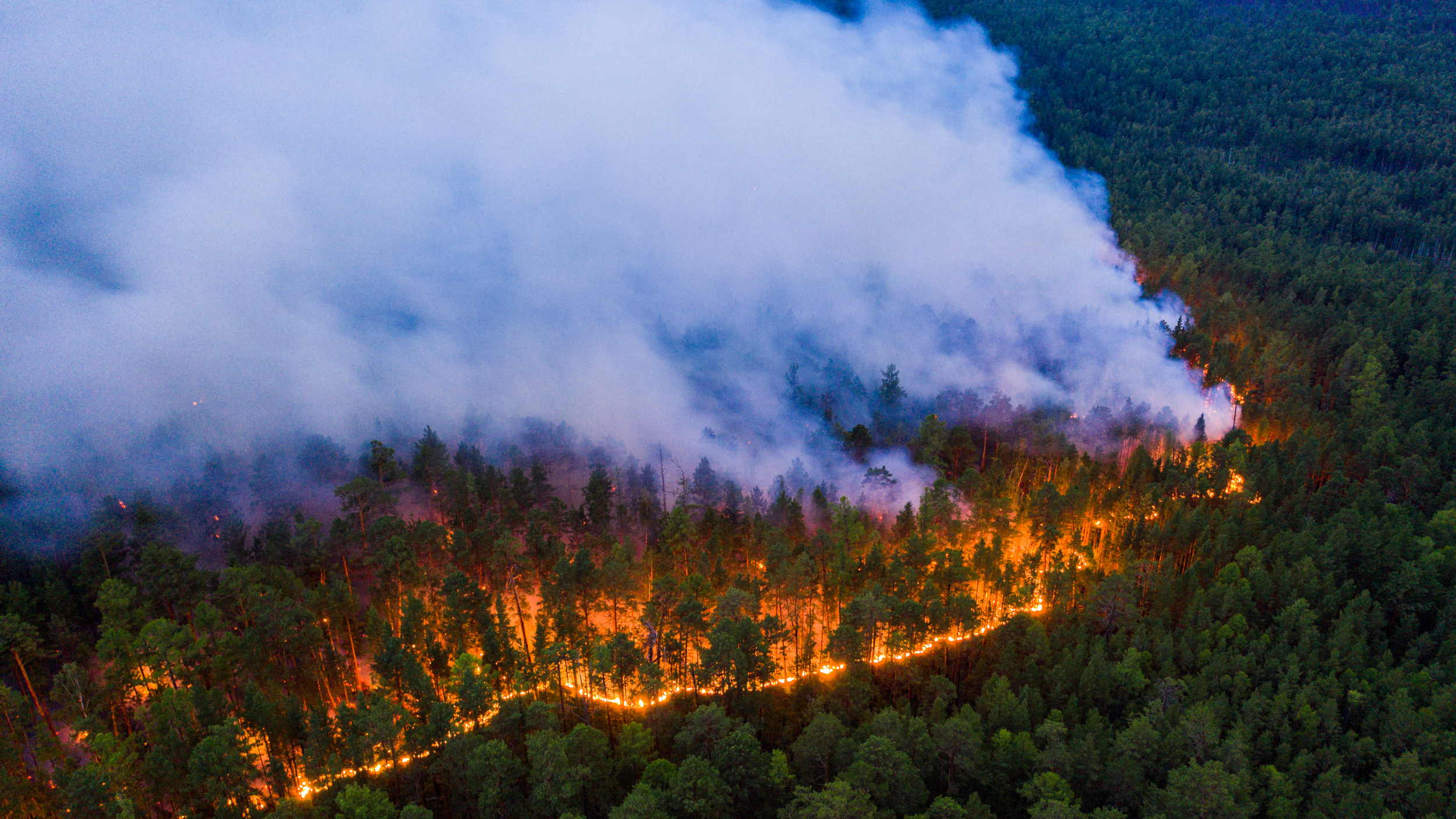 Consecuencias De Los Incendios Forestales XHJRUO