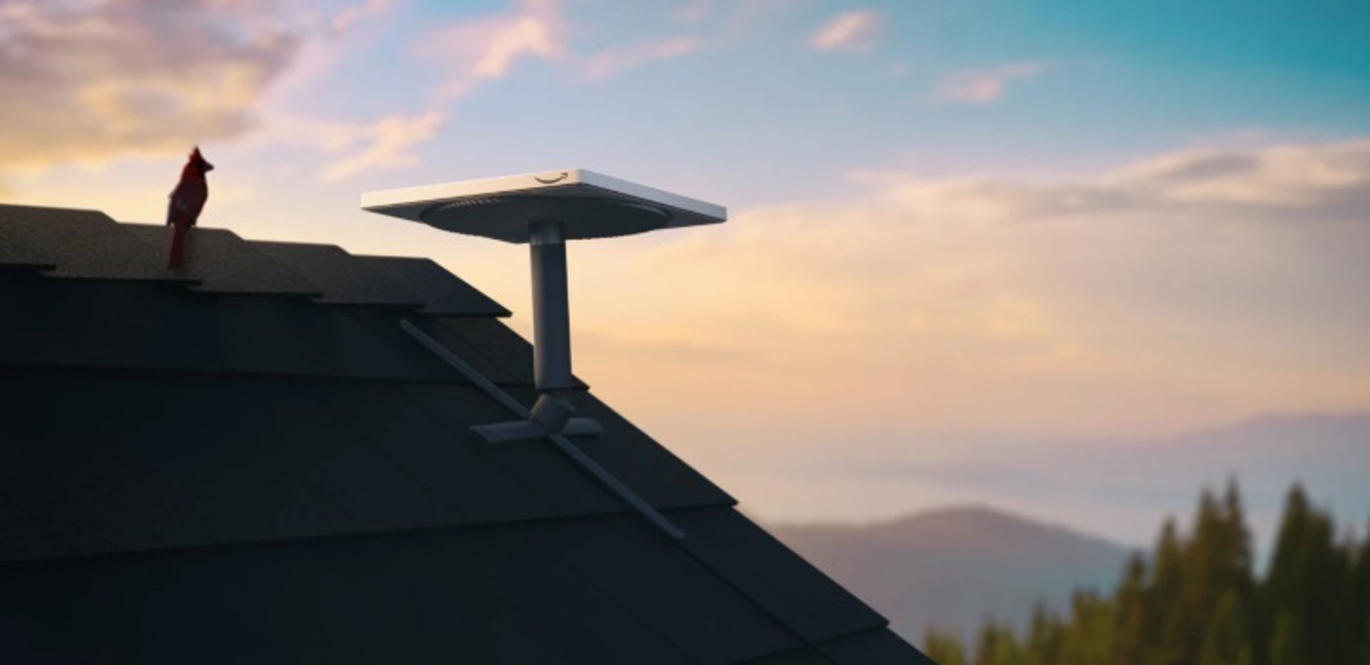 “Hay algunos electricistas, carpinteros y el director de una empresa”: la selección semi amateur que sorprende en Europa y sueña con clasificar al Mundial 2026