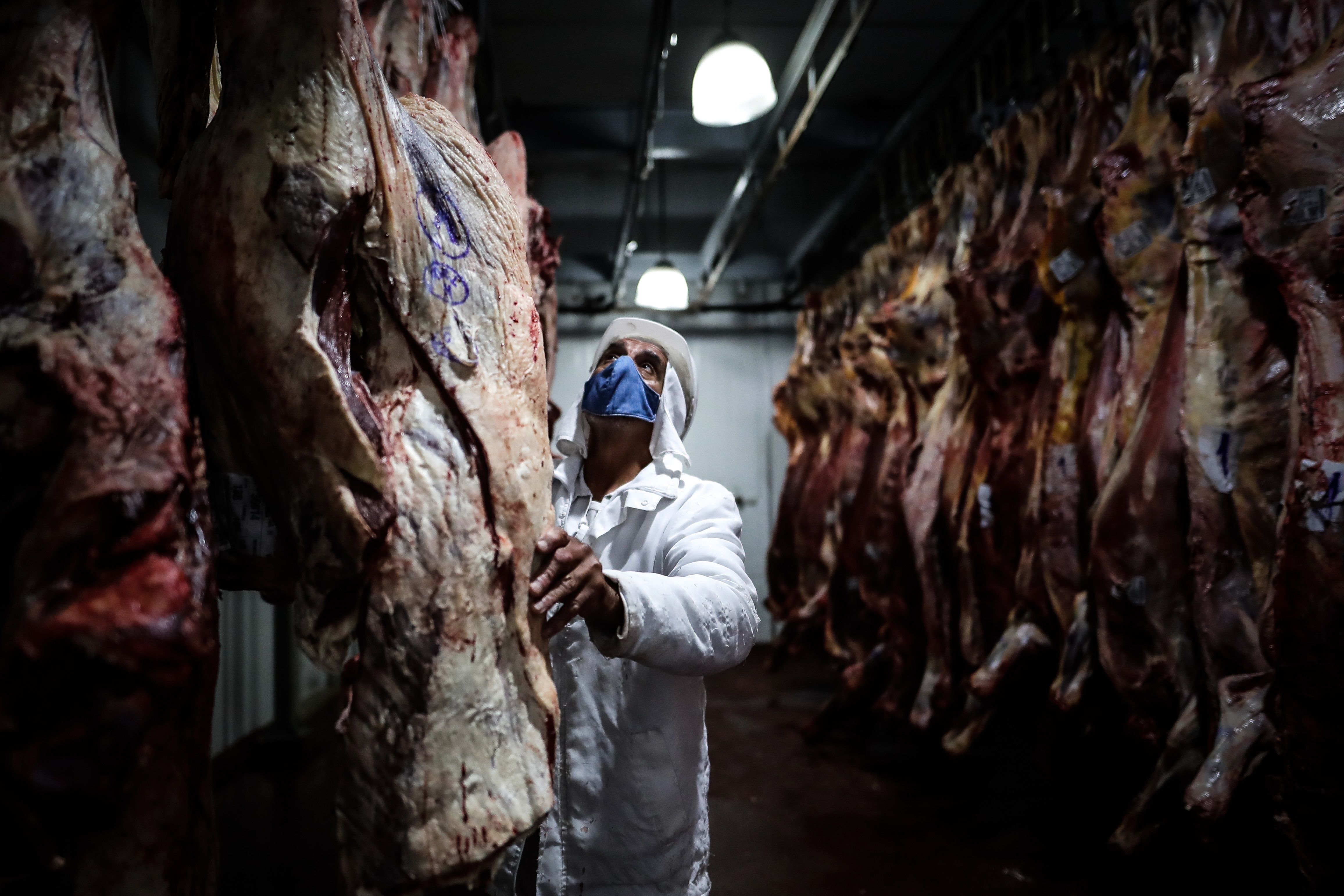 Empleados de un frigorífico trabajan con carne vacuna el 12 de enero de 2021, en la Ciudad de Buenos Aires (Argentina). EFE/Juan Ignacio Roncoroni
