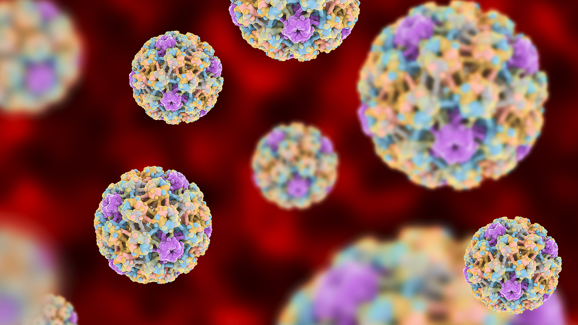 El virus del papiloma humano (HPV) tiene incidencia en el desarrollo de cáncer en la vejiga (Getty)
