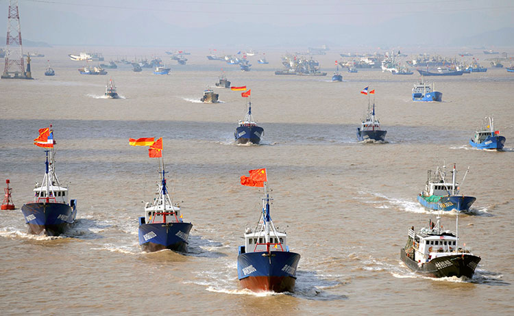 FOTO DE ARCHIVO: una flotilla de barcos de pesca chinos se dirige hacia el Mar Oriental de China y un grupo de islas deshabitadas que Japón y China reclaman. (REUTERS)