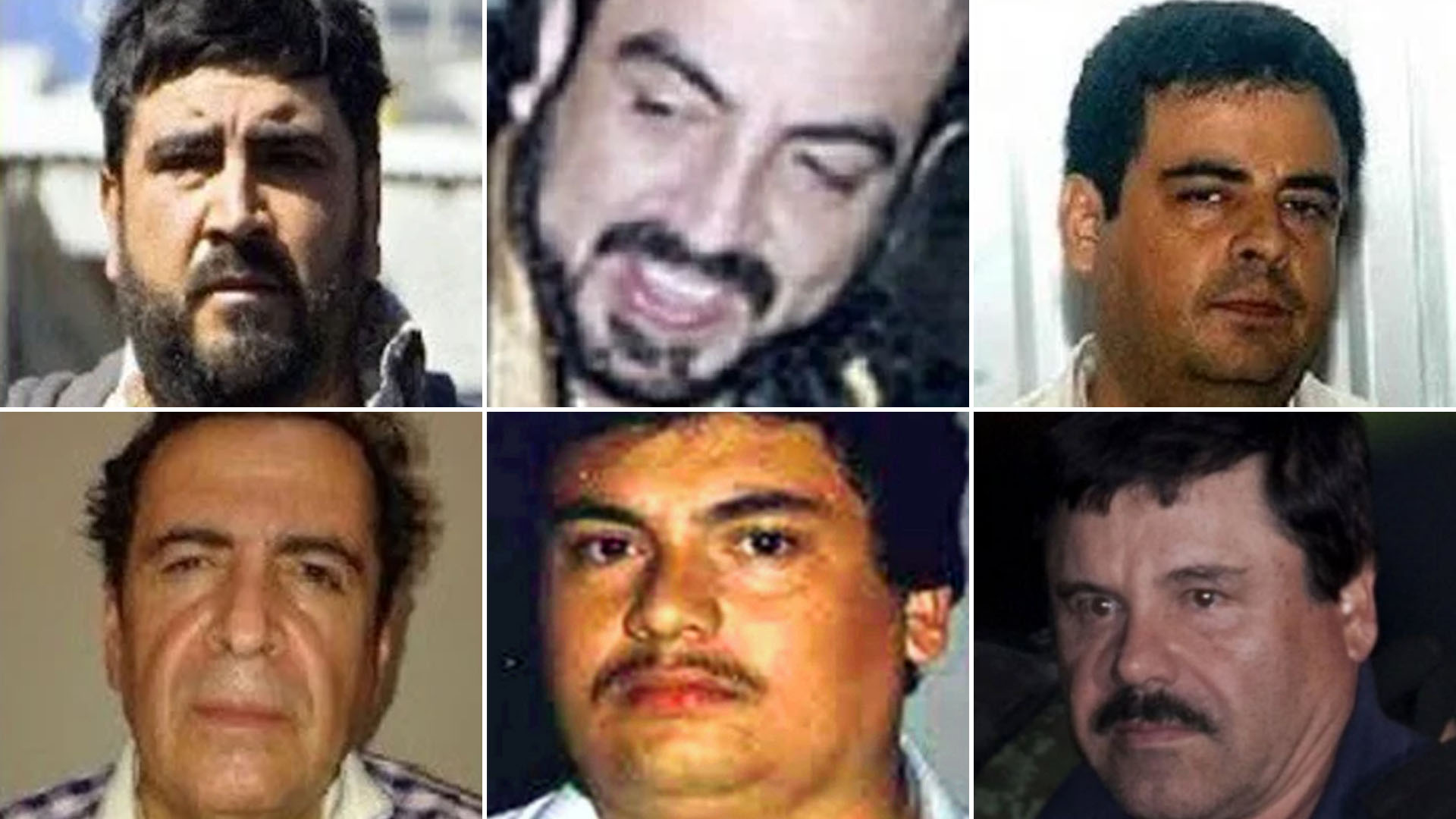 Los cuatro hermanos Beltrán Leyva, "El Guano" Guzmán y "El Chapo" (Foto: especial)