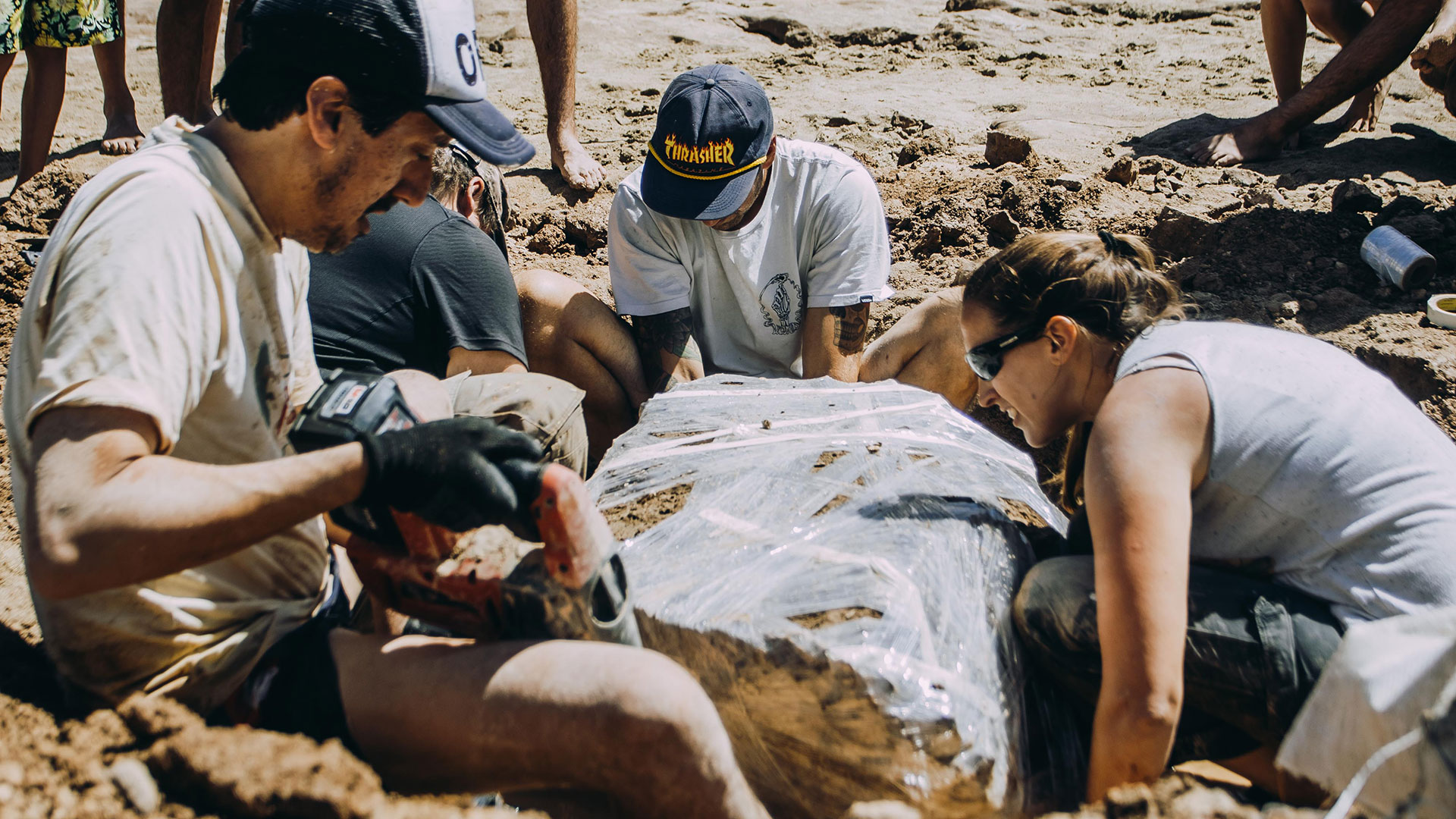 Restos de dos gliptodontes fueron hallados en la costa de la provincia de Buenos Aires. (Foto: EFE/Museo Municipal de Ciencias Naturales Lorenzo Scaglia /Gabriel Bulacio)
