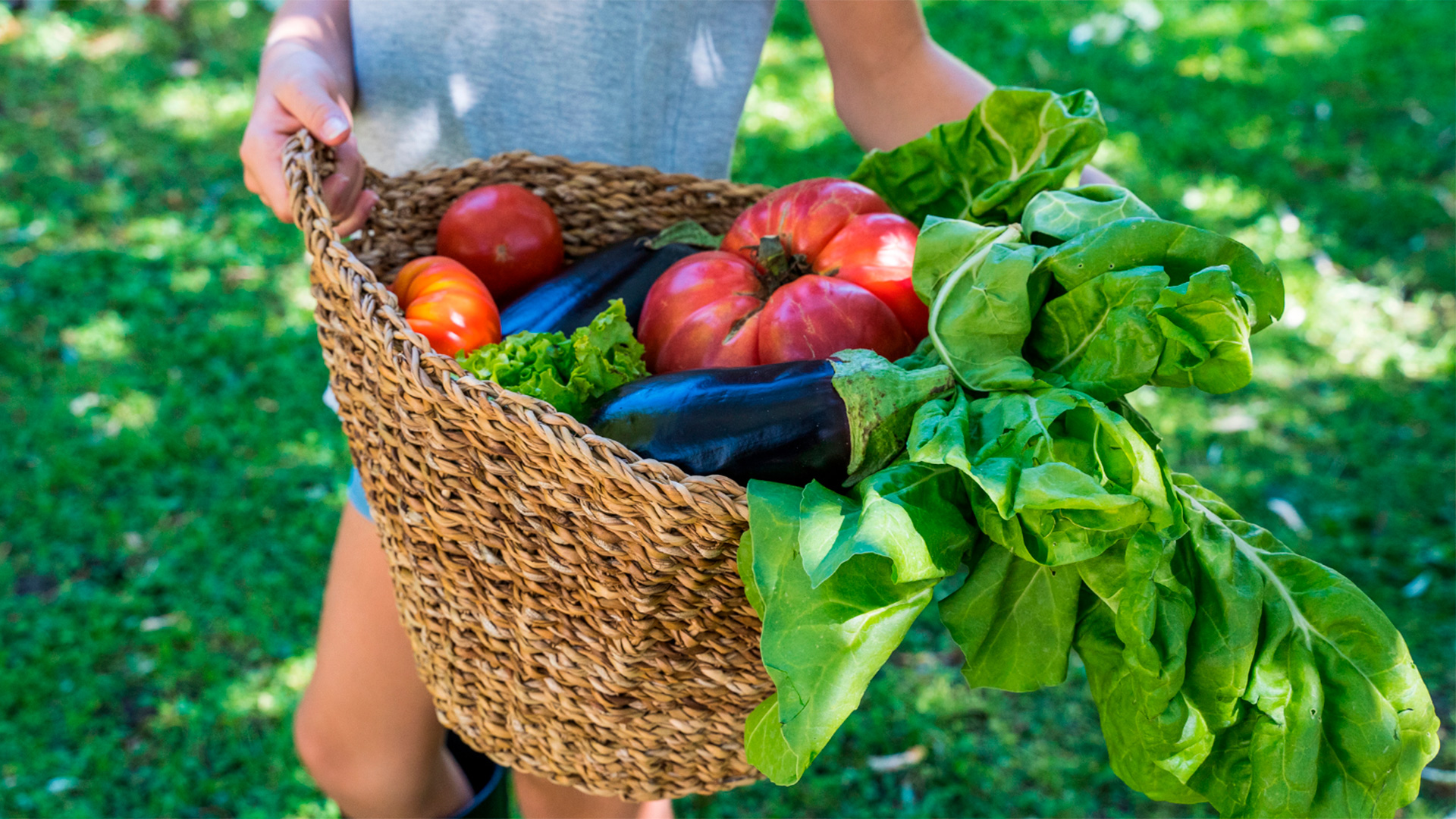 Un nuevo libro impulsado por la ONU comparte 70 recetas que ayudan a a la lucha contra el cambio climático, el desperdicio de alimentos y también aporta información sobre la huella de carbono de cada plato.