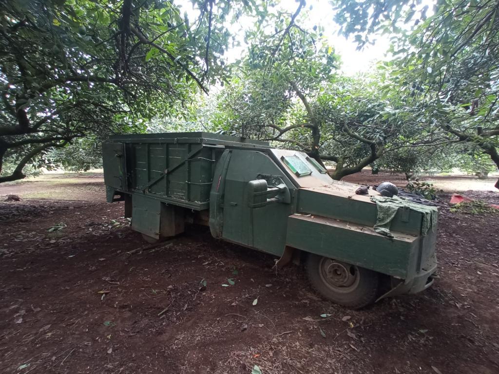 They Seized The &Quot;Monsters&Quot; Of Cjng Hiding In The Avocado Orchards In Uruapan